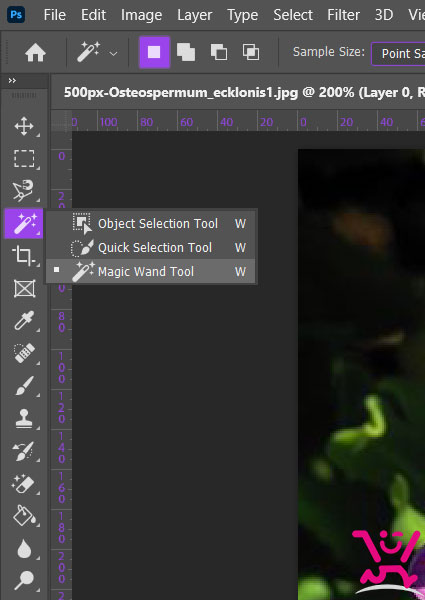 ذخیره عکس بدون پس زمینه در فتوشاپ + آموزش تصویری 4 Magic Wand tool