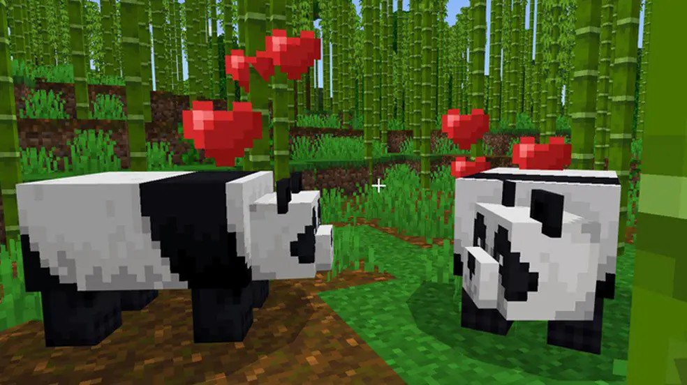 پرورش پاندا در Minecraft 1 پرورش پاندا در Minecraft